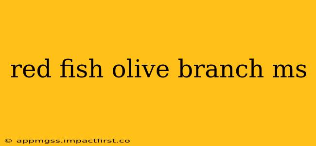 red fish olive branch ms