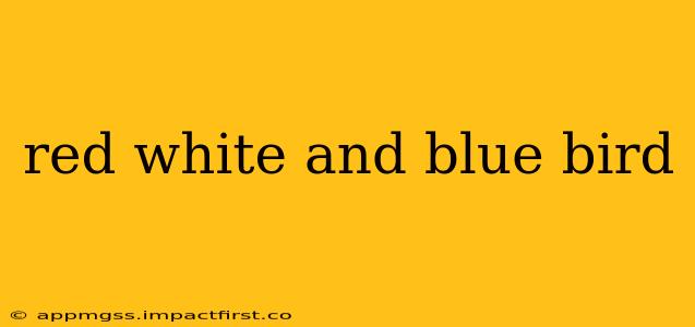 red white and blue bird