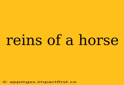 reins of a horse