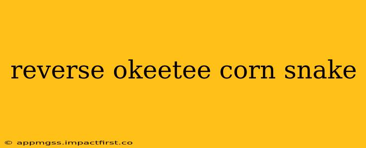 reverse okeetee corn snake