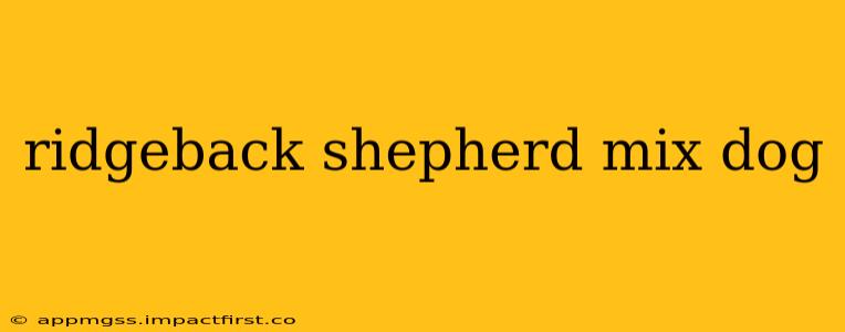 ridgeback shepherd mix dog
