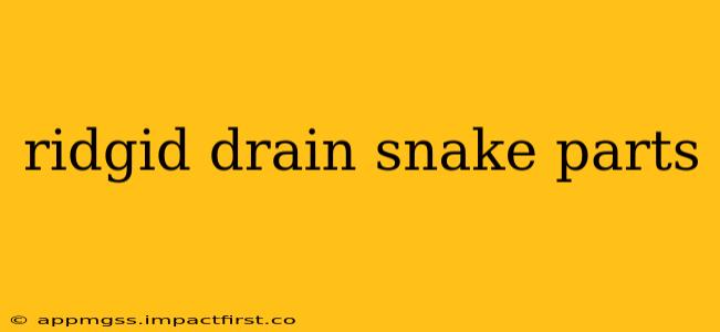 ridgid drain snake parts