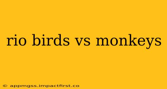 rio birds vs monkeys