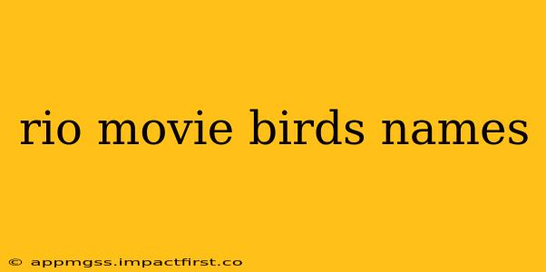 rio movie birds names