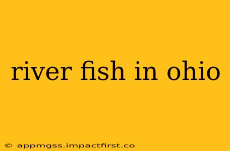 river fish in ohio