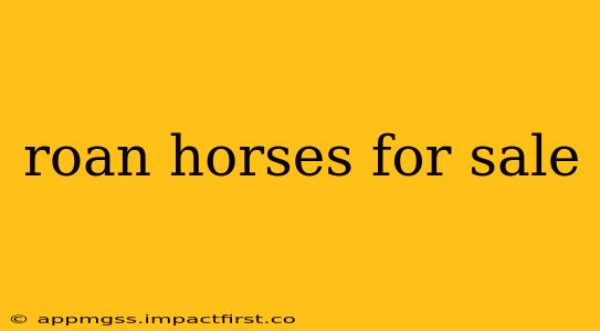 roan horses for sale