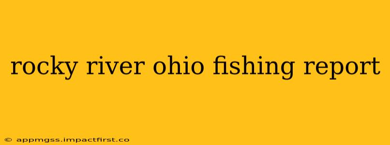 rocky river ohio fishing report