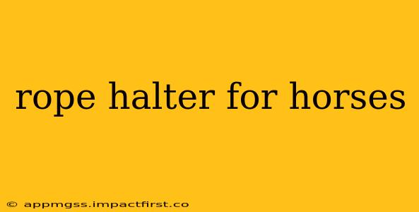 rope halter for horses