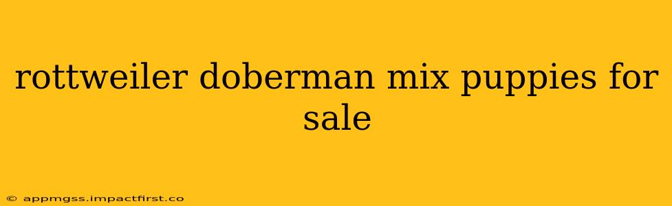rottweiler doberman mix puppies for sale