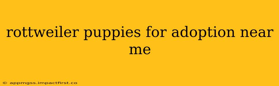 rottweiler puppies for adoption near me