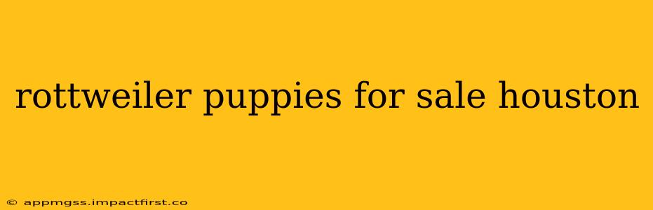 rottweiler puppies for sale houston