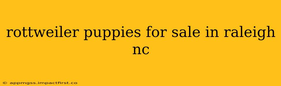rottweiler puppies for sale in raleigh nc