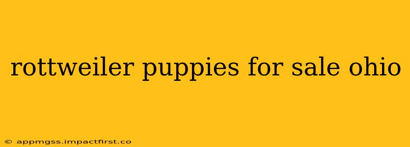 rottweiler puppies for sale ohio