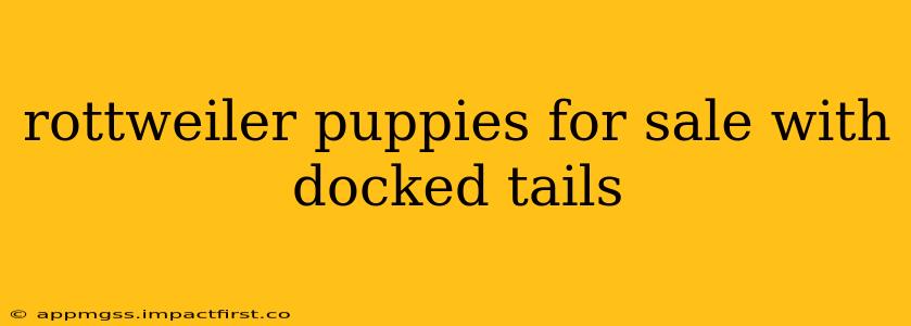 rottweiler puppies for sale with docked tails