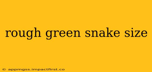 rough green snake size