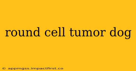 round cell tumor dog