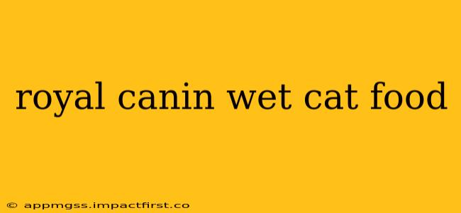 royal canin wet cat food