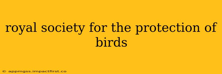 royal society for the protection of birds