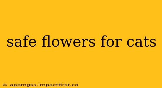 safe flowers for cats