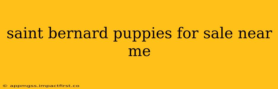 saint bernard puppies for sale near me