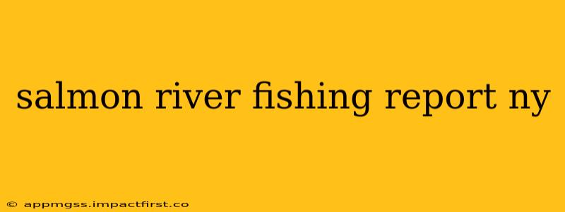 salmon river fishing report ny