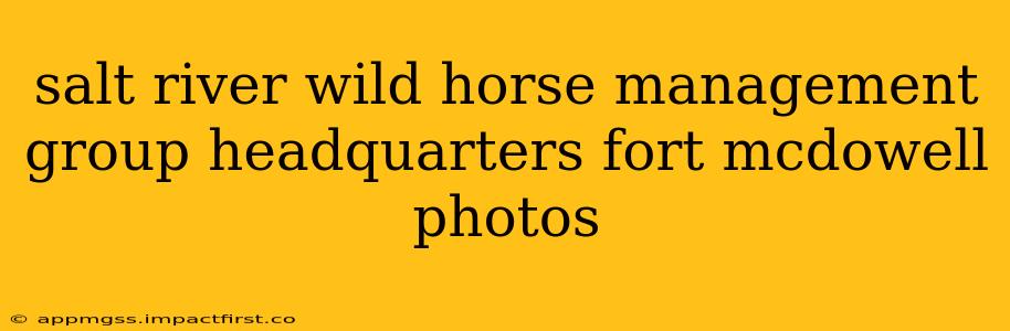 salt river wild horse management group headquarters fort mcdowell photos