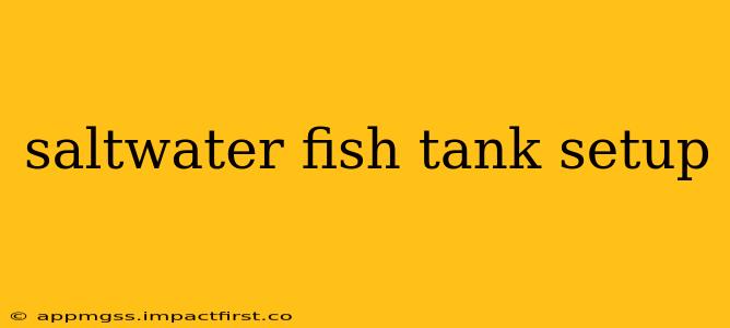 saltwater fish tank setup