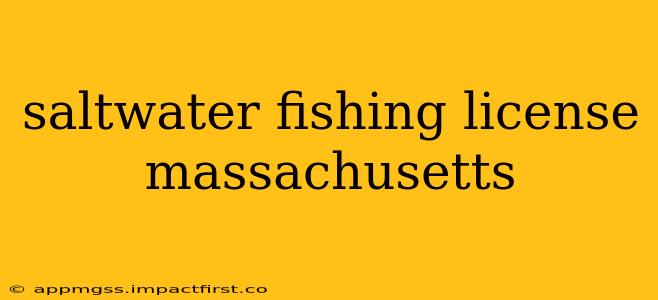 saltwater fishing license massachusetts