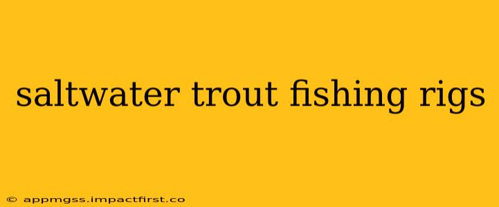 saltwater trout fishing rigs