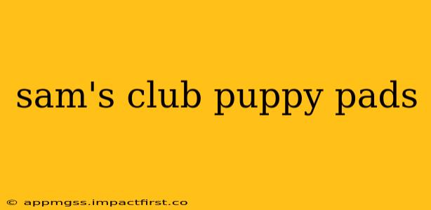 sam's club puppy pads