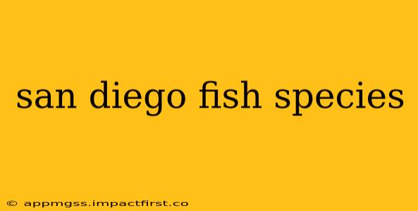 san diego fish species