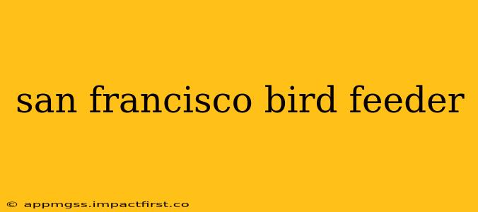 san francisco bird feeder