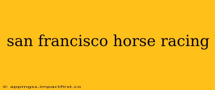 san francisco horse racing