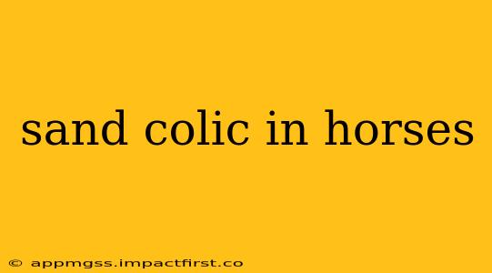 sand colic in horses