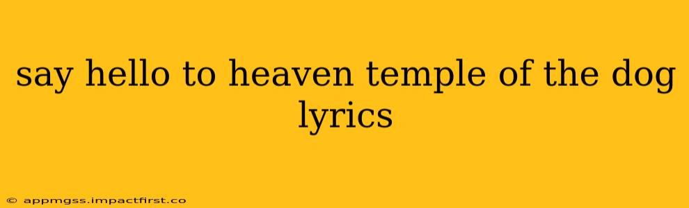 say hello to heaven temple of the dog lyrics