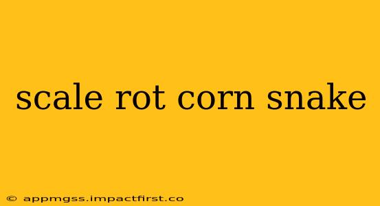 scale rot corn snake