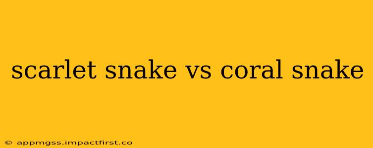 scarlet snake vs coral snake