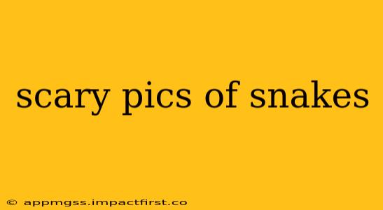 scary pics of snakes