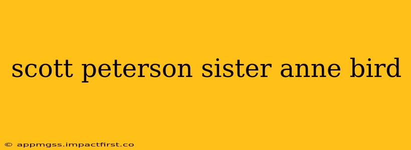scott peterson sister anne bird