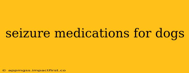 seizure medications for dogs