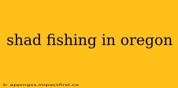 shad fishing in oregon