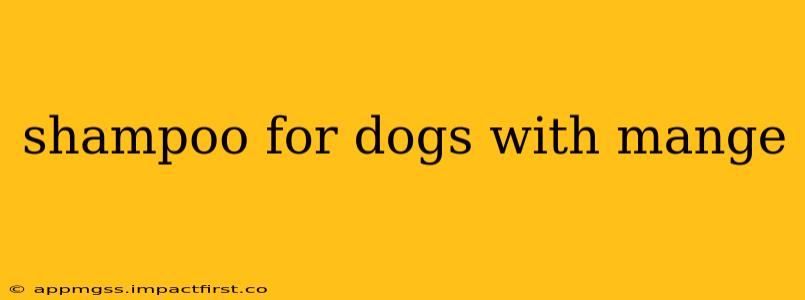 shampoo for dogs with mange