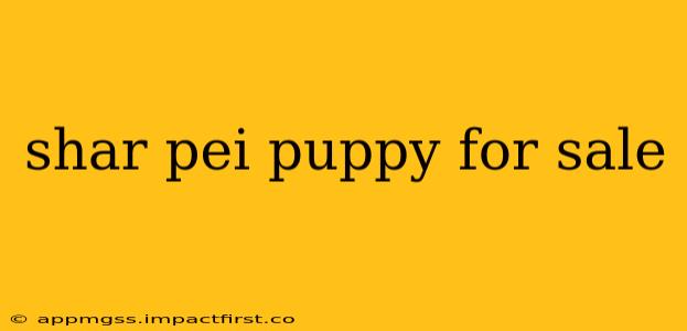 shar pei puppy for sale