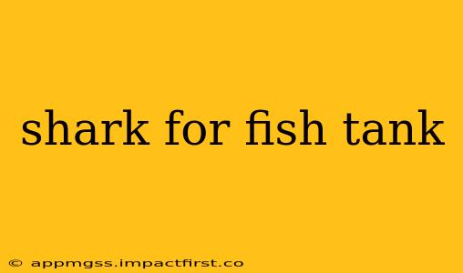 shark for fish tank
