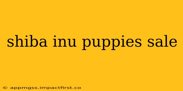 shiba inu puppies sale