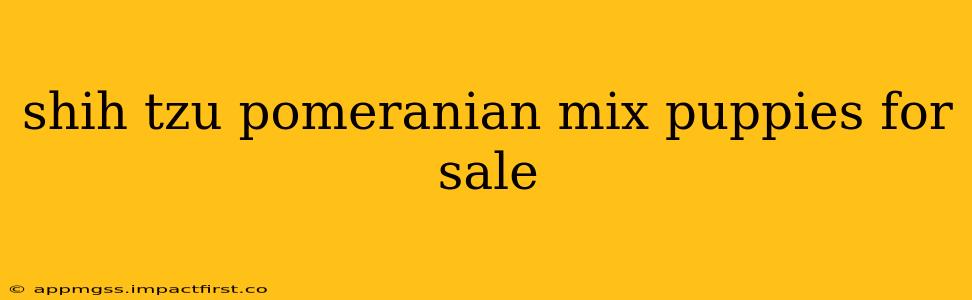 shih tzu pomeranian mix puppies for sale