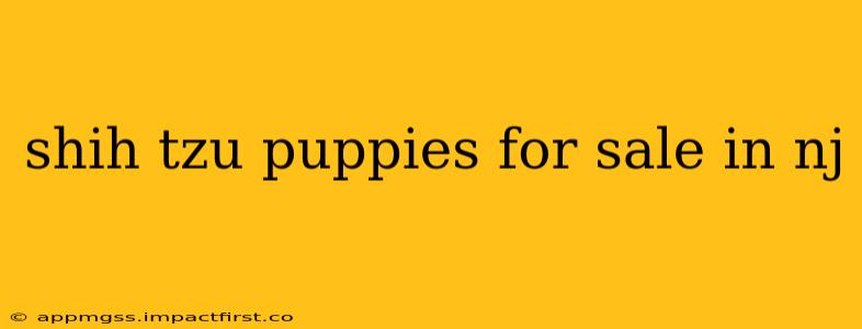 shih tzu puppies for sale in nj