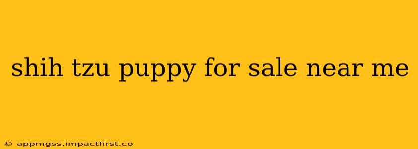 shih tzu puppy for sale near me