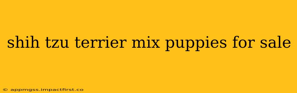 shih tzu terrier mix puppies for sale