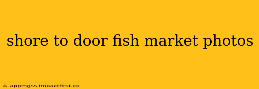 shore to door fish market photos